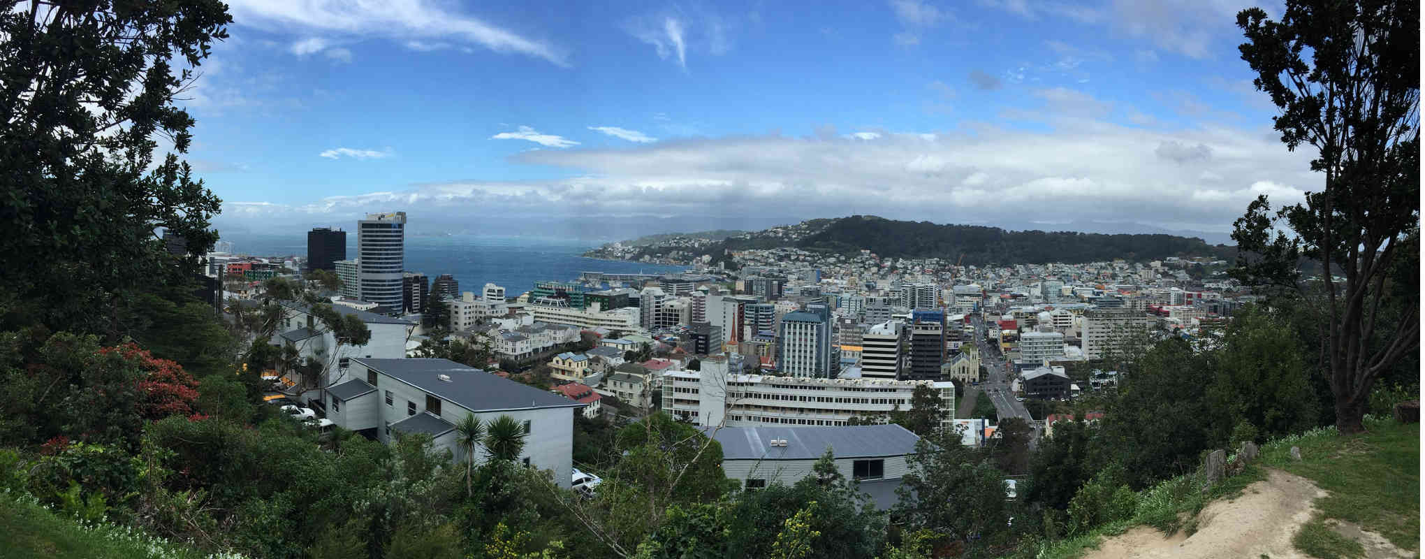 Cours d'anglais à Wellington